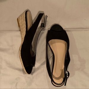 Kelly and Katie Wedges